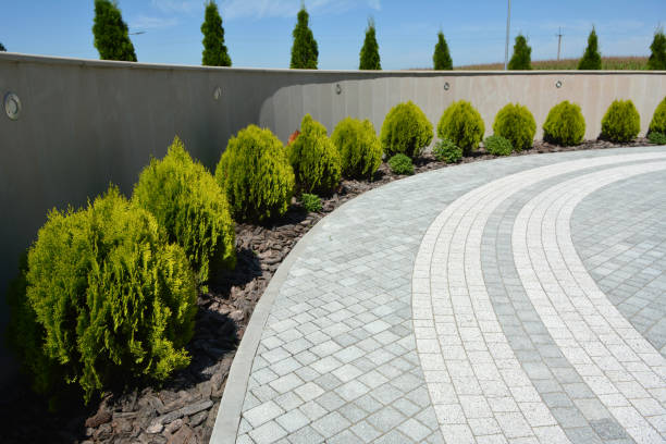Best Professional Driveway Pavers  in Oasis, CA